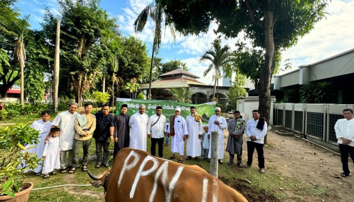 PT Pertamina Patra Niaga Sulawesi Berbagi Daging Kurban 88 Ekor Sapi dan 48 Ekor Kambing