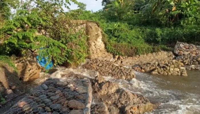 Belum Berfungsi Maksimal Pintu Klep Saluran Pembuangan di Luwu Timur Ambruk