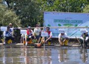 Lestarikan Alam Pesisir, Pertamina Patra Niaga Sulawesi Tanam Mangrove di Parangloe Makassar