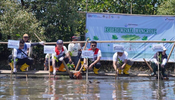 Lestarikan Alam Pesisir, Pertamina Patra Niaga Sulawesi Tanam Mangrove di Parangloe Makassar