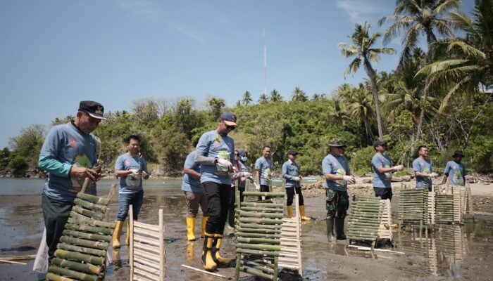 Hari Menanam Pohon Indonesia 2024, Pertamina Patra Niaga Sulawei Tanam Mangrove dan Coastal Cleanup di Pantai Desa Tongo