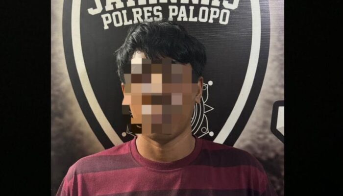 Polres Palopo Amankan Sopir Pelaku Pelecehan terhadap Penumpang di Bawah Umur