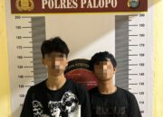 Dua Pengedar Tramadol dan THD di Palopo Diciduk Polisi, 1.000 Butir Pil Disita