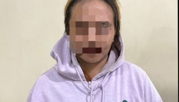 Ibu Rumah Tangga di Palopo Kembali Terjerat Kasus Penganiayaan, Ditangkap di Masamba