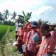 Kelas Hijau Paling Seru! 150 Siswa SDIT ALBINA Tomoni jadi Petani Cilik di BPP Wotu