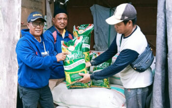 Dinas Pertanian Luwu Utara Salurkan Bantuan Benih Padi dan Jagung di 153 Poktan