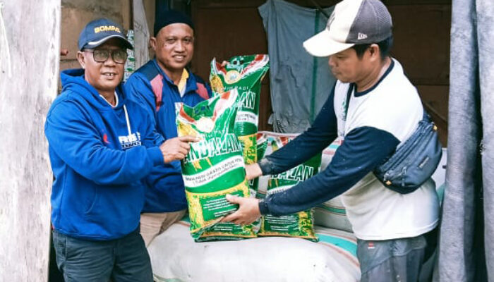 153 Poktan di Luwu Utara Terima Bantuan Benih Padi dan Jagung Program Mandiri Benih