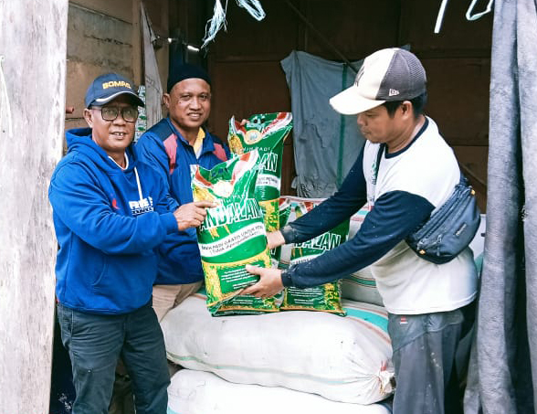 Dinas Pertanian Luwu Utara Salurkan Bantuan Benih Padi dan Jagung di 153 Poktan