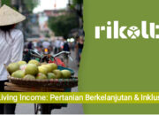 Survei Rikolto: Petani Kakao Luwu Utara Miliki Pendapatan Paling Ideal di Indonesia