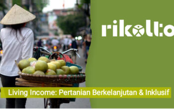 Survei Rikolto: Petani Kakao Luwu Utara Miliki Pendapatan Paling Ideal di Indonesia