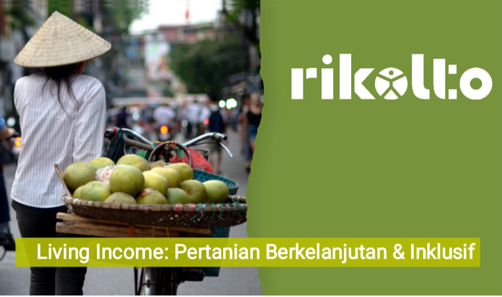 Survei Rikolto: Petani Kakao Luwu Utara Miliki Pendapatan Paling Ideal di Indonesia