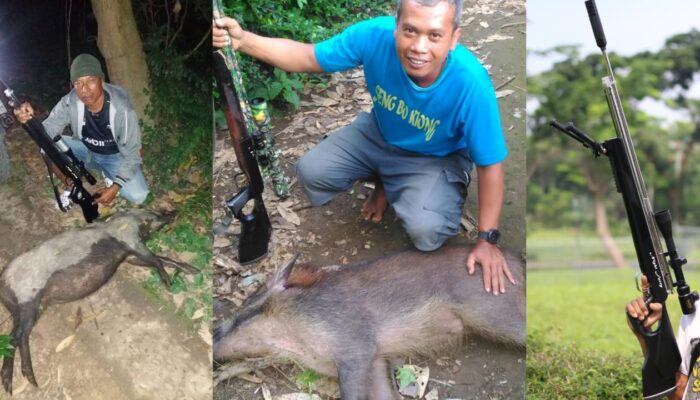 Review Senapan Angin Terbaik Merk Goppul Night Furry