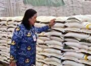 Pemkot Bontang Salurkan Bantuan Pangan Oktober–November, 4.693 KK Terima Beras dan Minyak