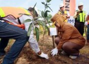10 Ribu Bibit Mangrove Ditanam, Bontang Tunjukkan Komitmen Menjaga Lingkungan