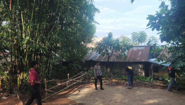 Polres Palopo Bongkar Dua Lokasi Sabung Ayam Berkat Aduan Warga