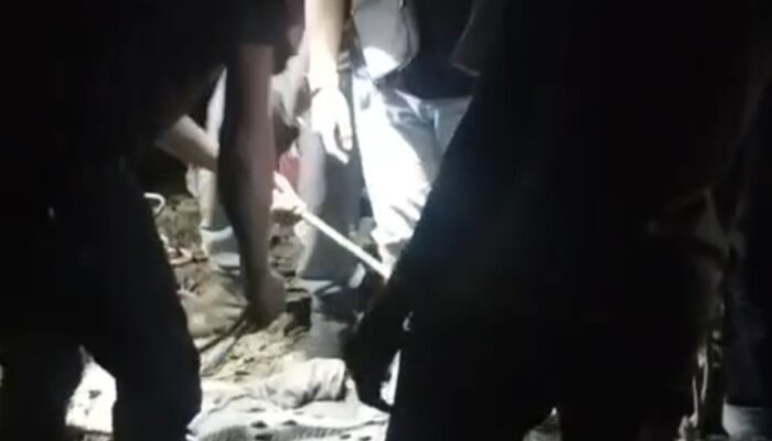 Buaya Jumbo 2,5 Meter Bikin Panik Warga di Teluk Lingga Kutim, Merangkak hingga Depan Pintu Rumah