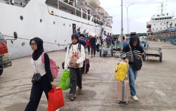 Kabar Baik untuk Pemudik, PELNI Bontang Siapkan Diskon Tiket 30 Persen, Berlaku Mulai 11 Maret