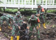 Kodim 0908/Bontang Gelar Karya Bakti Bersihkan Kawasan Mangrove Berbas Pantai