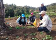 Perkuat Ketahanan Pangan, Bupati Tinjau Pengembangan Bibit Kentang di Dataran Tinggi Mabusa