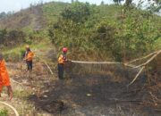 40 Kasus Karhutla Terjadi Sepanjang 2024, Bontang Lestari Paling Rawan