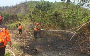 40 Kasus Karhutla Terjadi Sepanjang 2024, Bontang Lestari Paling Rawan