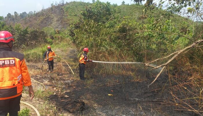 40 Kasus Karhutla Terjadi Sepanjang 2024, Bontang Lestari Paling Rawan