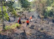 Kasus Karhutla di Bontang Turun Drastis pada 2025