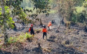 Kasus Karhutla di Bontang Turun Drastis pada 2025