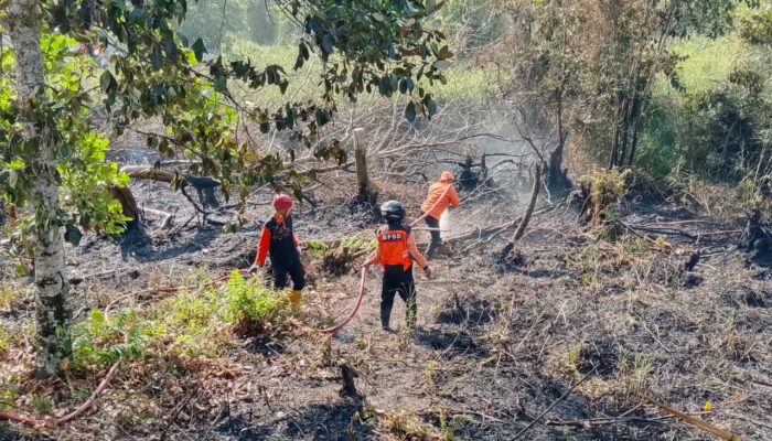 Kasus Karhutla di Bontang Turun Drastis pada 2025