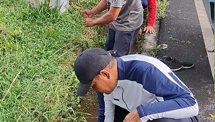Pastikan Kebersihan Fasilitas Publik, Kepala Disporapar Pantau Langsung Pembenahan Lapangan Tamsis Masamba