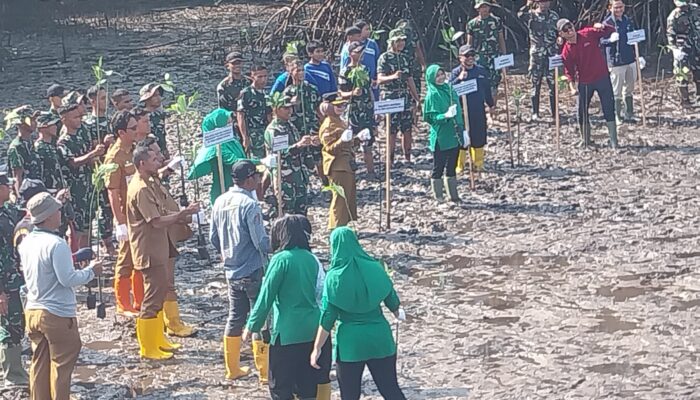 Wali Kota Bontang Ikuti Kegiatan Penanaman Mangrove untuk Pelestarian Lingkungan