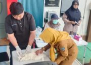 Selama Dua Hari, 111 Hewan di Kelurahan Satimpo Divaksin Rabies