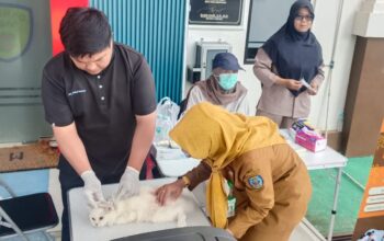 Selama Dua Hari, 111 Hewan di Kelurahan Satimpo Divaksin Rabies