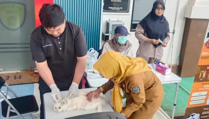 Selama Dua Hari, 111 Hewan di Kelurahan Satimpo Divaksin Rabies