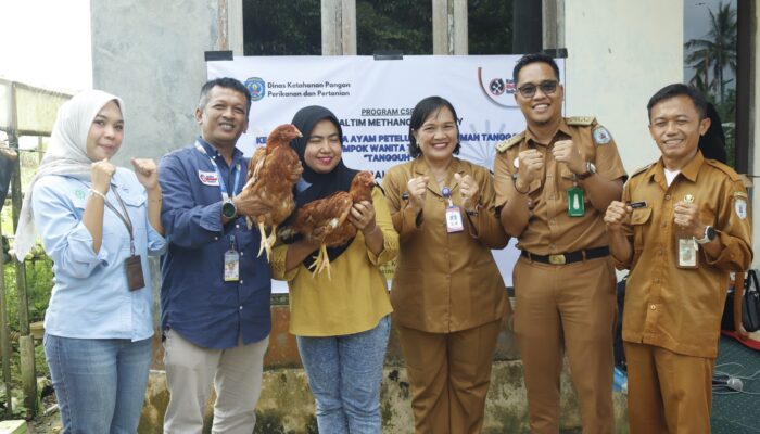 Sinergi DKP3 Bontang dan PT KMI Dorong Kemandirian Pangan Masyarakat Lewat Budidaya Ayam Petelur