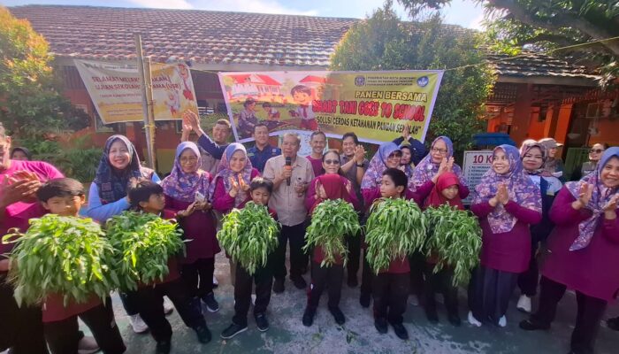 Program Smartani Goes to School Berbuah Manis, Panen Perdana Kangkung Digelar di SDN 005 Bontang Selatan