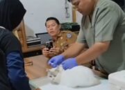 DKP3 Bontang Gencarkan Vaksinasi Hewan untuk Cegah Rabies