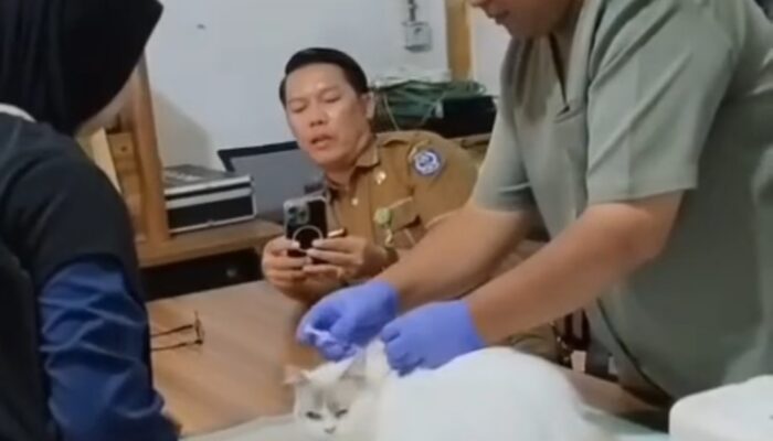 DKP3 Bontang Gencarkan Vaksinasi Hewan untuk Cegah Rabies