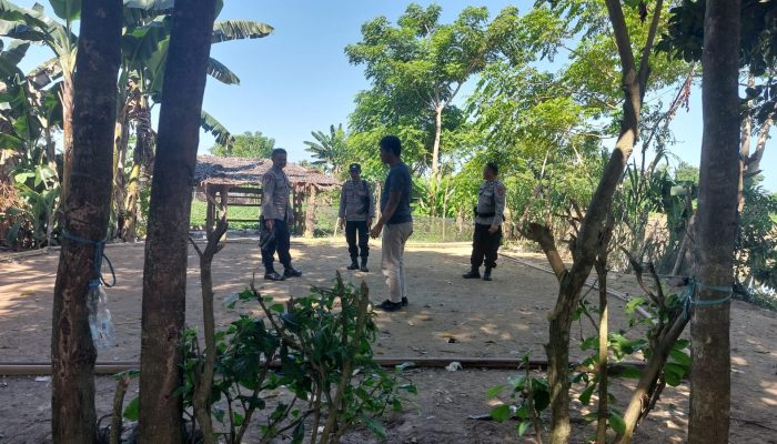 Polsek Telluwanua Sisir Lokasi Dugaan Sabung Ayam Usai Terima Laporan Warga