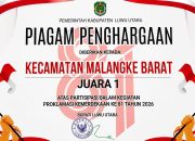 Paling Heboh dan Meriah! Malangke Barat Raih Gelar Kecamatan Terbaik pada HUT ke-81 RI