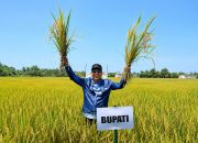 Bupati Luwu Utara Andi Abdullah Rahim Dorong Petani Gerak Cepat Ajukan Bantuan Alsintan Lewat PPL