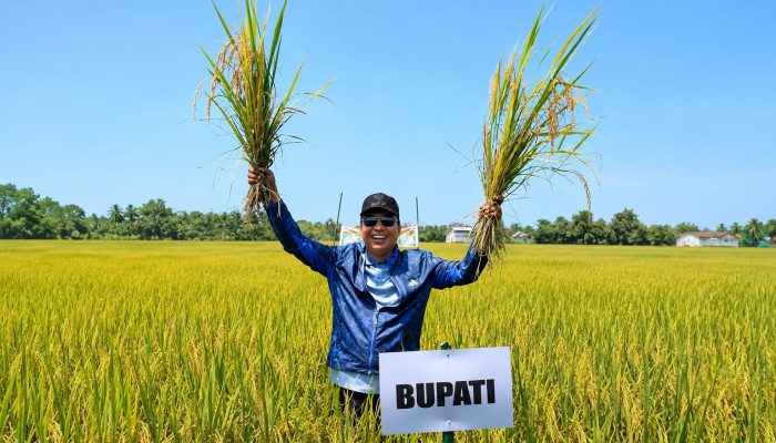 Bupati Luwu Utara Andi Abdullah Rahim Dorong Petani Gerak Cepat Ajukan Bantuan Alsintan Lewat PPL