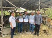 Dua Kelompok Tani di Lempake Terima Bantuan Sapi Aspirasi DPRD Kaltim