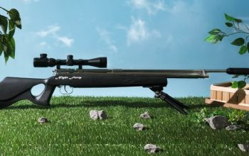 Senapan Angin Goppul Night Furry dan Panduan Memilih Berdasarkan Kebutuhan